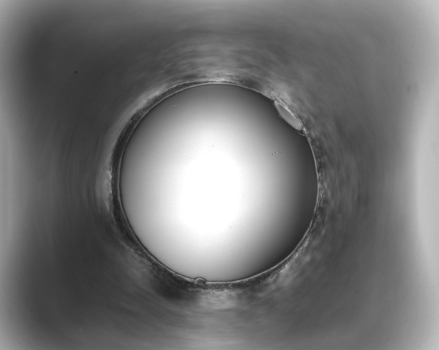 X0000089400342200706221121