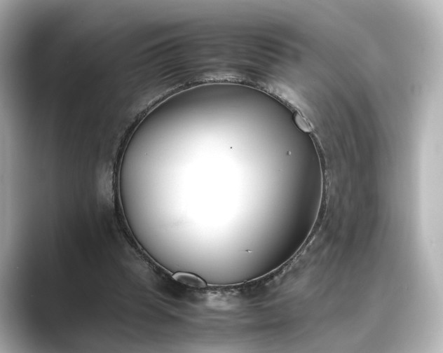 X0000089400345200706221121