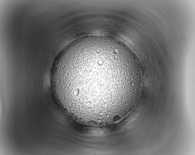 X0000089400347200706221121