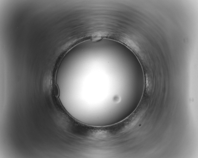 X0000089400348200706221121