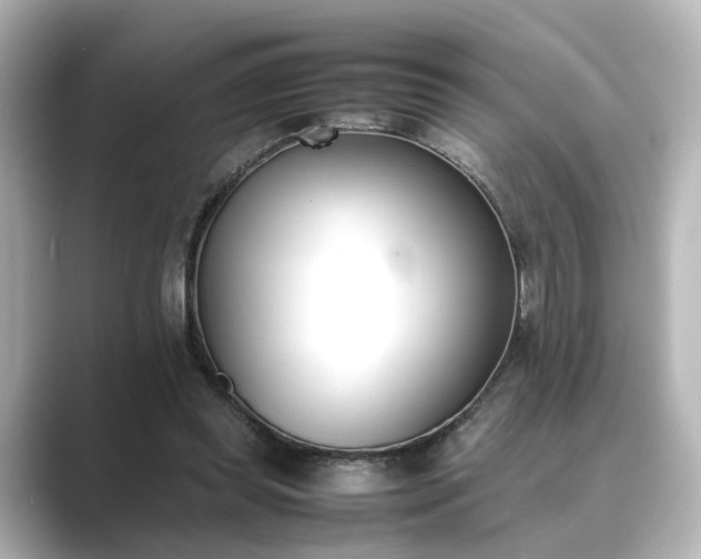 X0000089400349200706221121