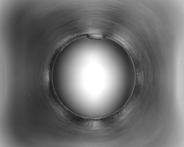 X0000089400350200706221121