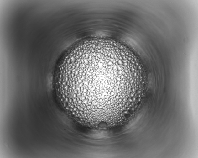 X0000089400351200706221121