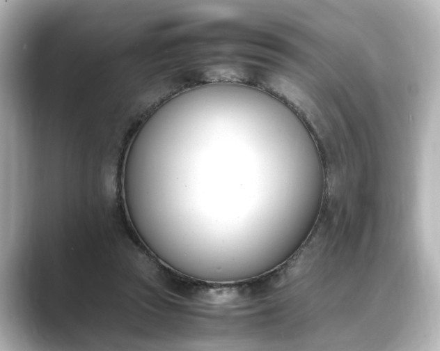 X0000089400353200706221121