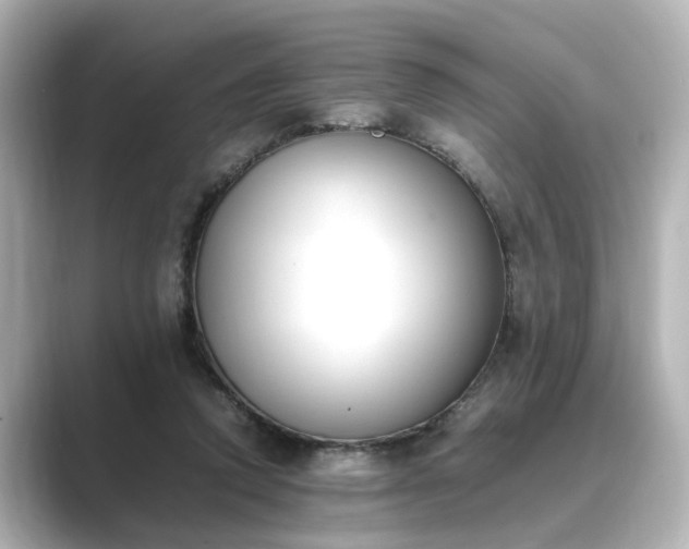 X0000089400354200706221121