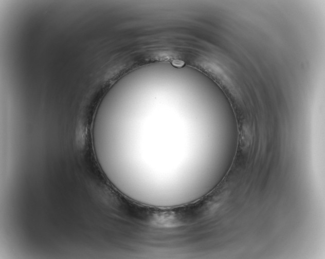 X0000089400355200706221121