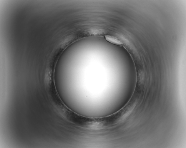 X0000089400356200706221121