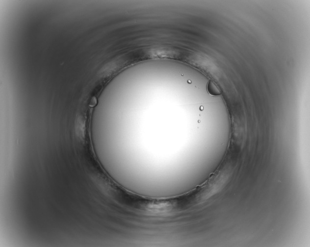 X0000089400357200706221121