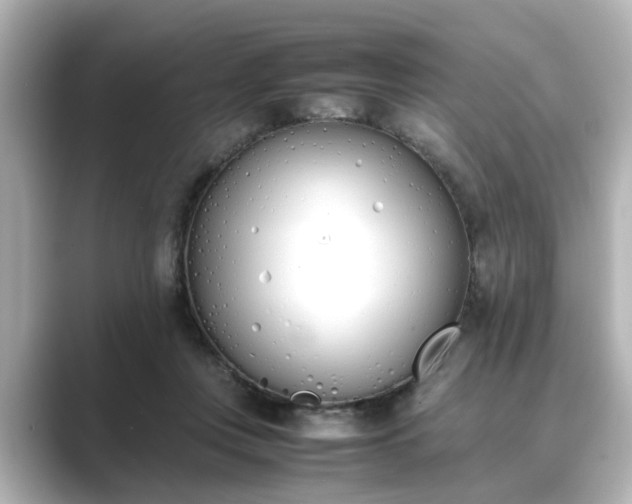 X0000089400359200706221121