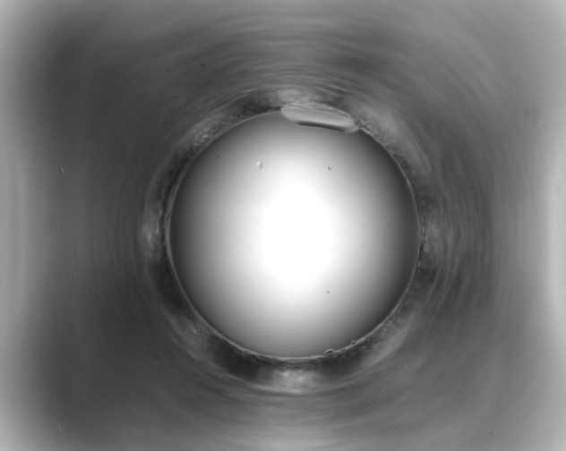 X0000089400360200706221121