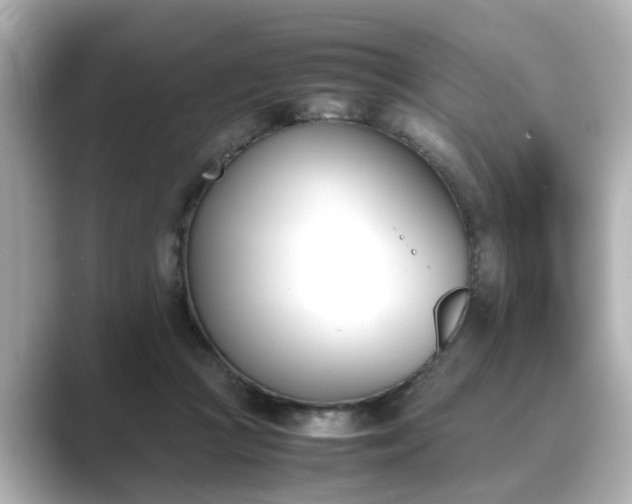 X0000089400361200706221121