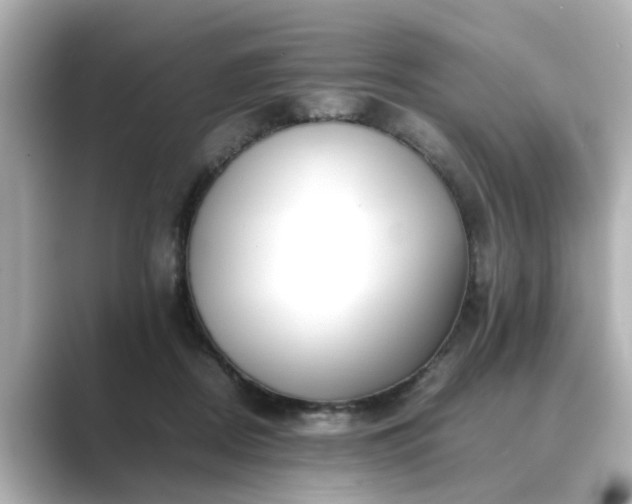 X0000089400362200706221121