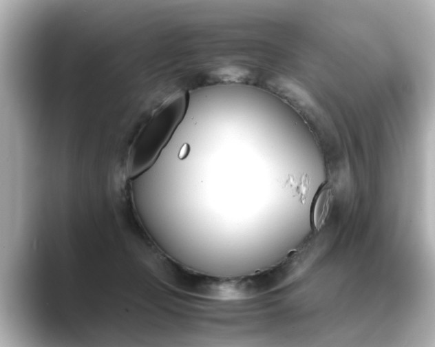 X0000089400365200706221121