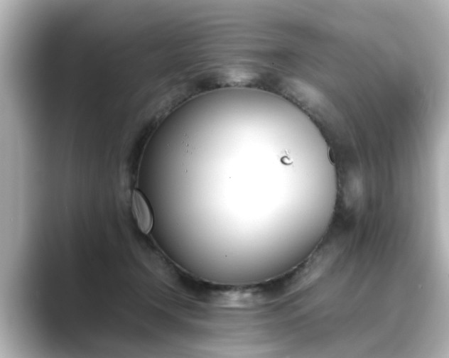 X0000089400366200706221121