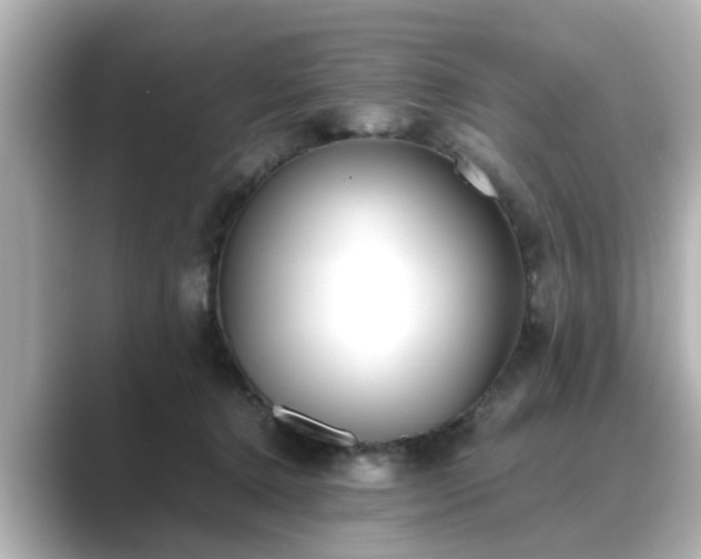 X0000089400368200706221122