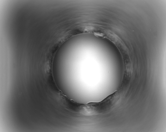 X0000089400372200706221122