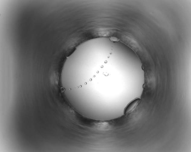 X0000089400374200706221122