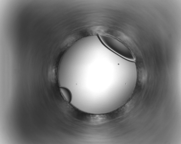 X0000089400378200706221122