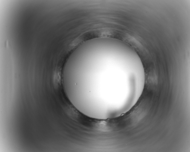 X0000089400382200706221122