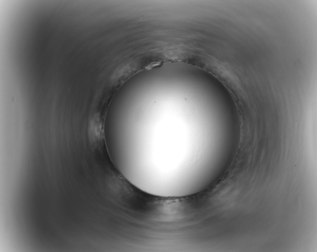 X0000089400384200706221122