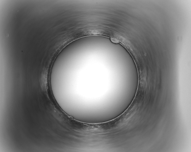 X0000089400386200706221121