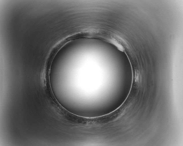 X0000089400388200706221121