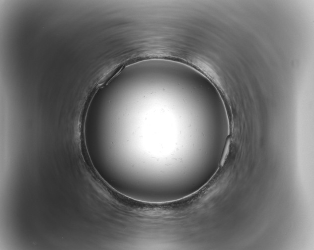 X0000089400389200706221121