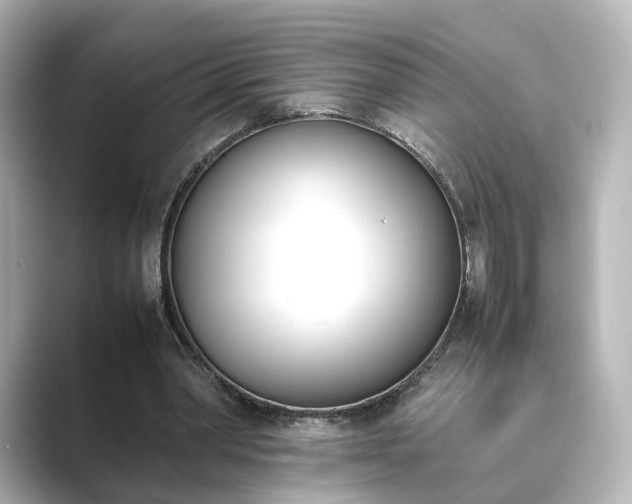 X0000089400390200706221121