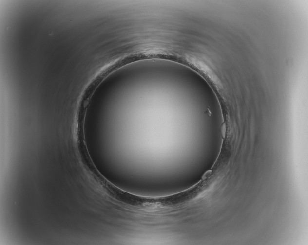 X0000089400391200706221121