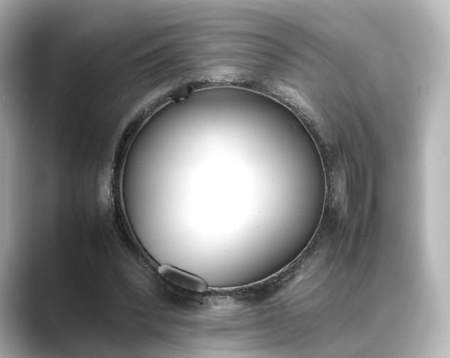 X0000089400392200706221121