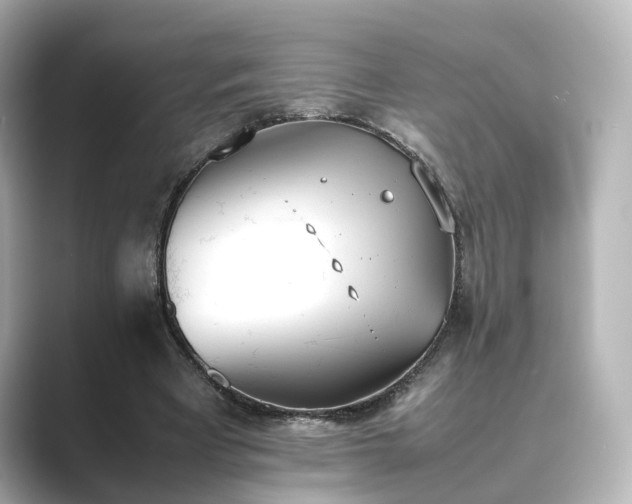 X0000089400393200706221121