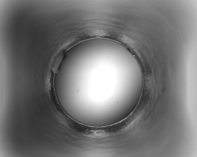 X0000089400395200706221121