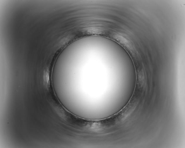 X0000089400398200706221121