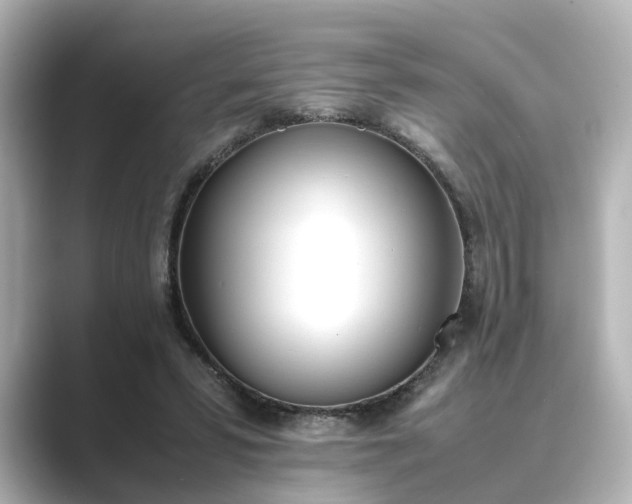 X0000089400399200706221121