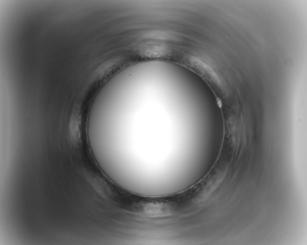 X0000089400400200706221121