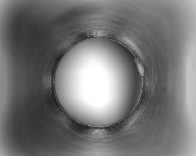 X0000089400401200706221121