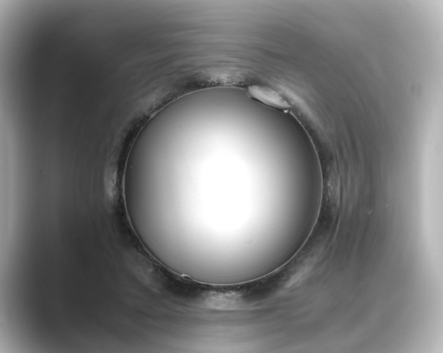 X0000089400403200706221121