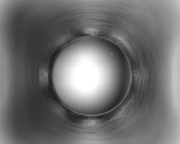 X0000089400404200706221121