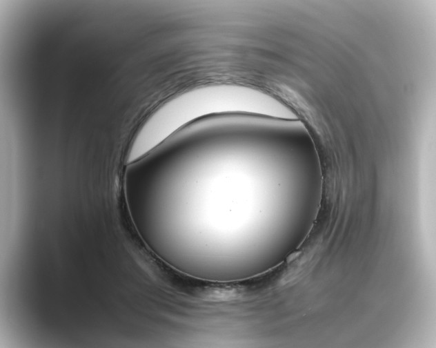 X0000089400405200706221121