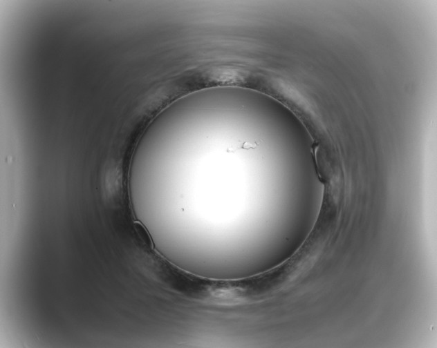 X0000089400407200706221121