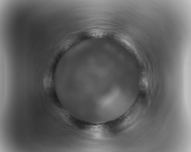 X0000089400411200706221121