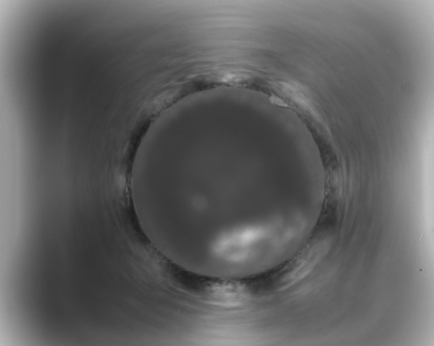 X0000089400415200706221121