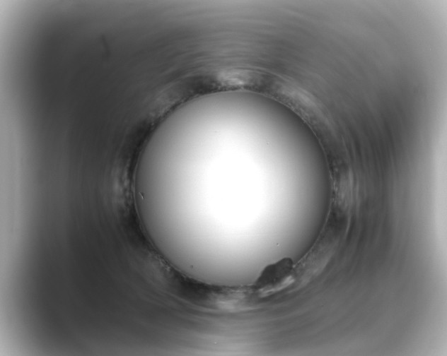 X0000089400418200706221121