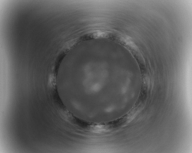 X0000089400419200706221121