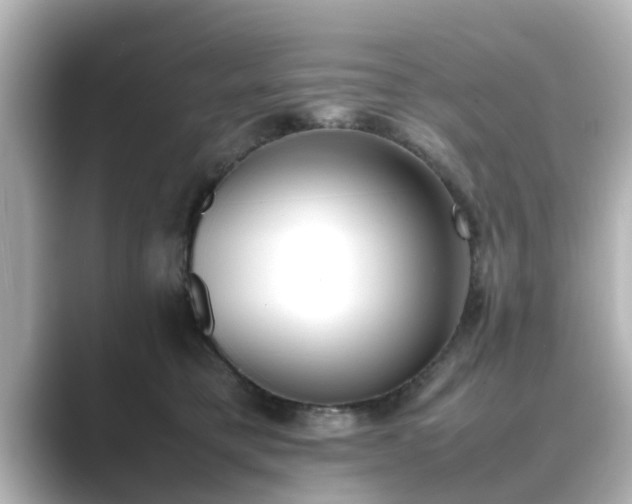 X0000089400421200706221121