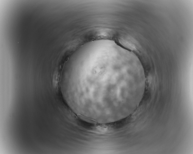 X0000089400423200706221121