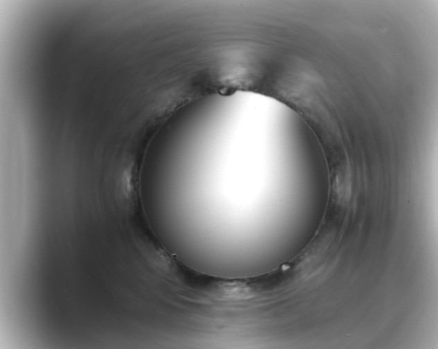 X0000089400424200706221121