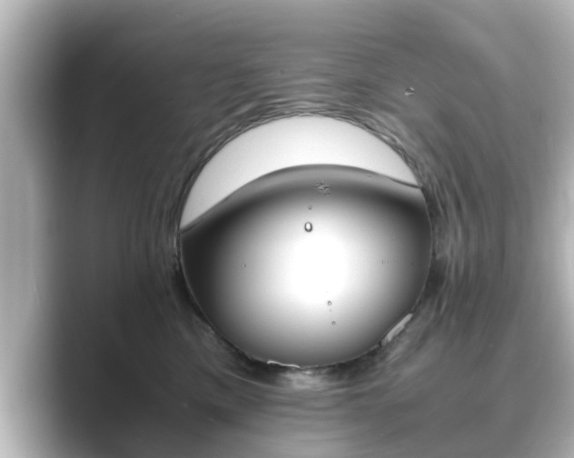 X0000089400425200706221121