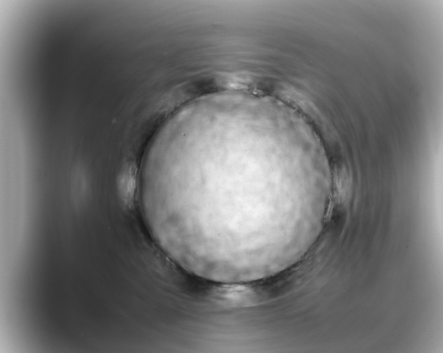 X0000089400427200706221121