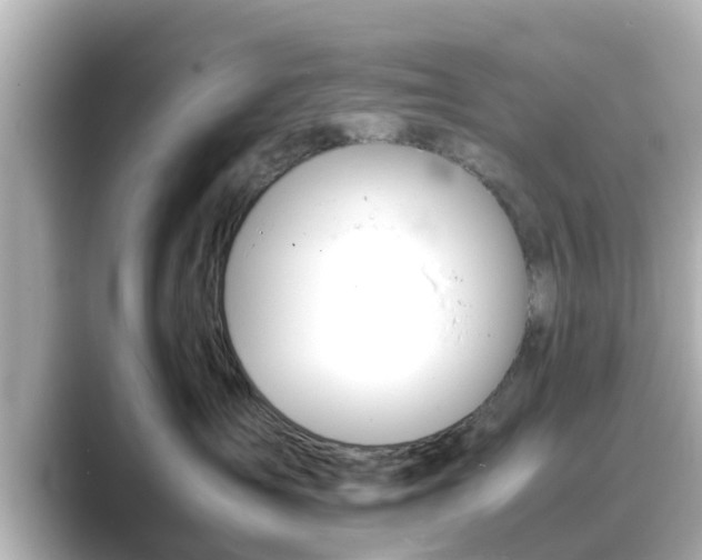 X0000089400431200706221121